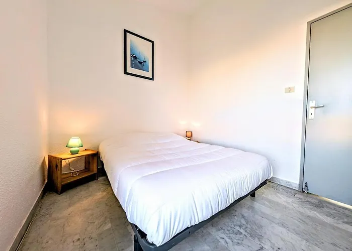 Cap D T4 Duplex Center Port Private Parking Wifi Air Conditioning Daire Agde